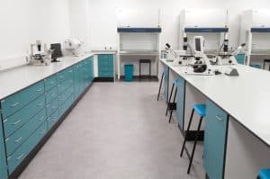 Lab benching and fume cupboards in university laboratory.