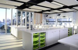 Tonbridge School Science lab C with lime trays