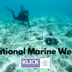 image for national marine week