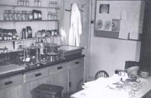 design of franklin lab birkbeck
